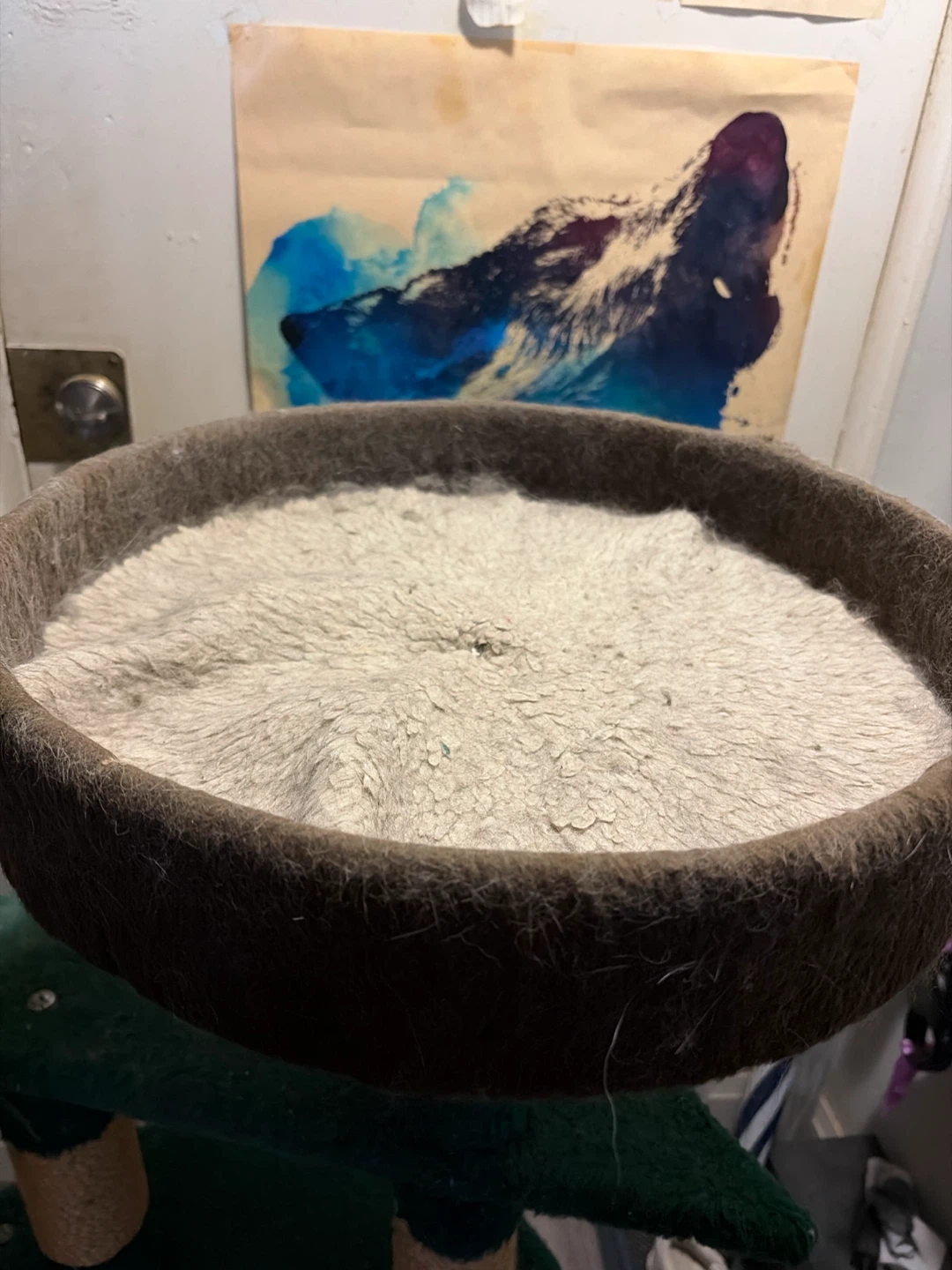 Green Cat Tree Condo with Perch - photo 3