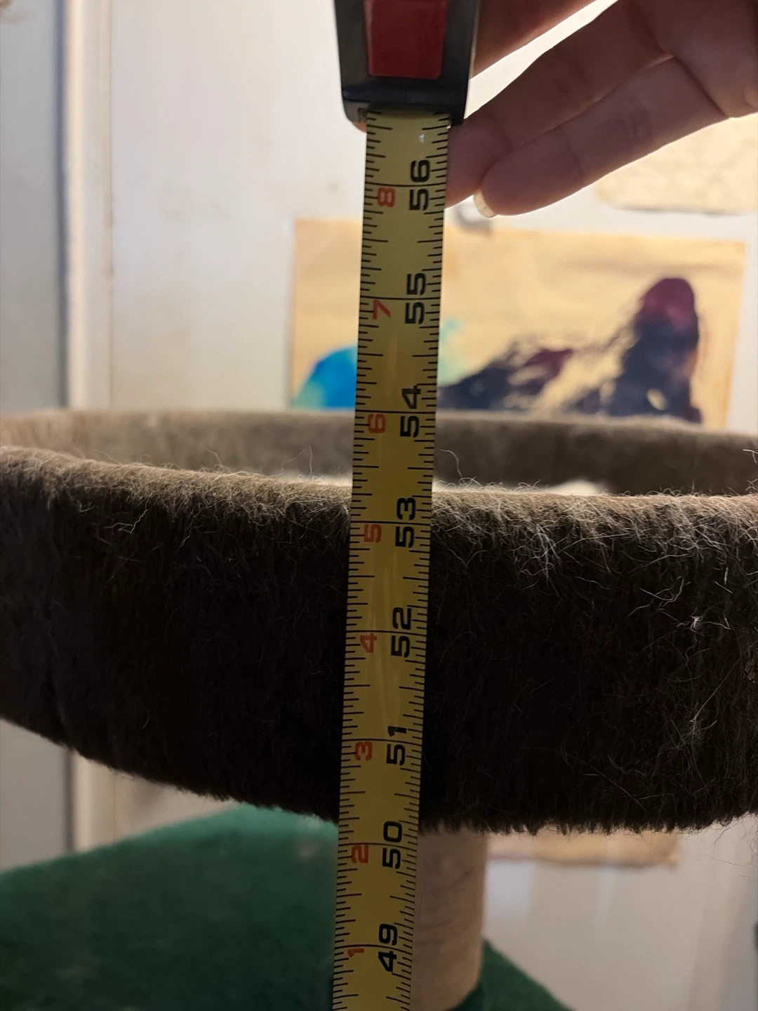 Green Cat Tree Condo with Perch - photo 5