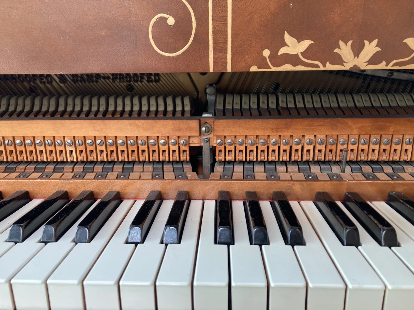 Piano   FREE ❤️ - photo 2