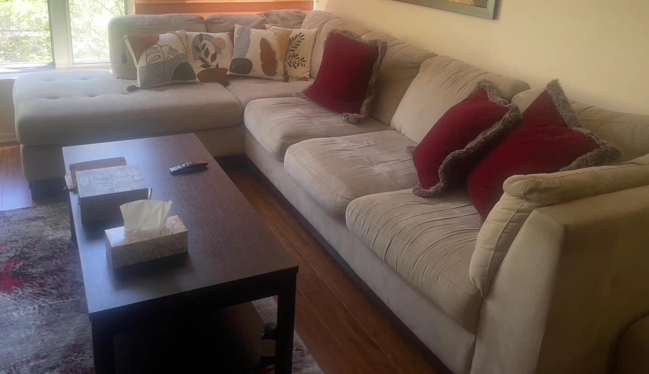 Sectional Couch with Chaise free