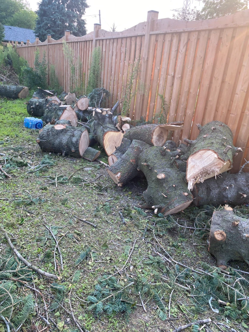 Free wood logs- bring your truck and pick it up