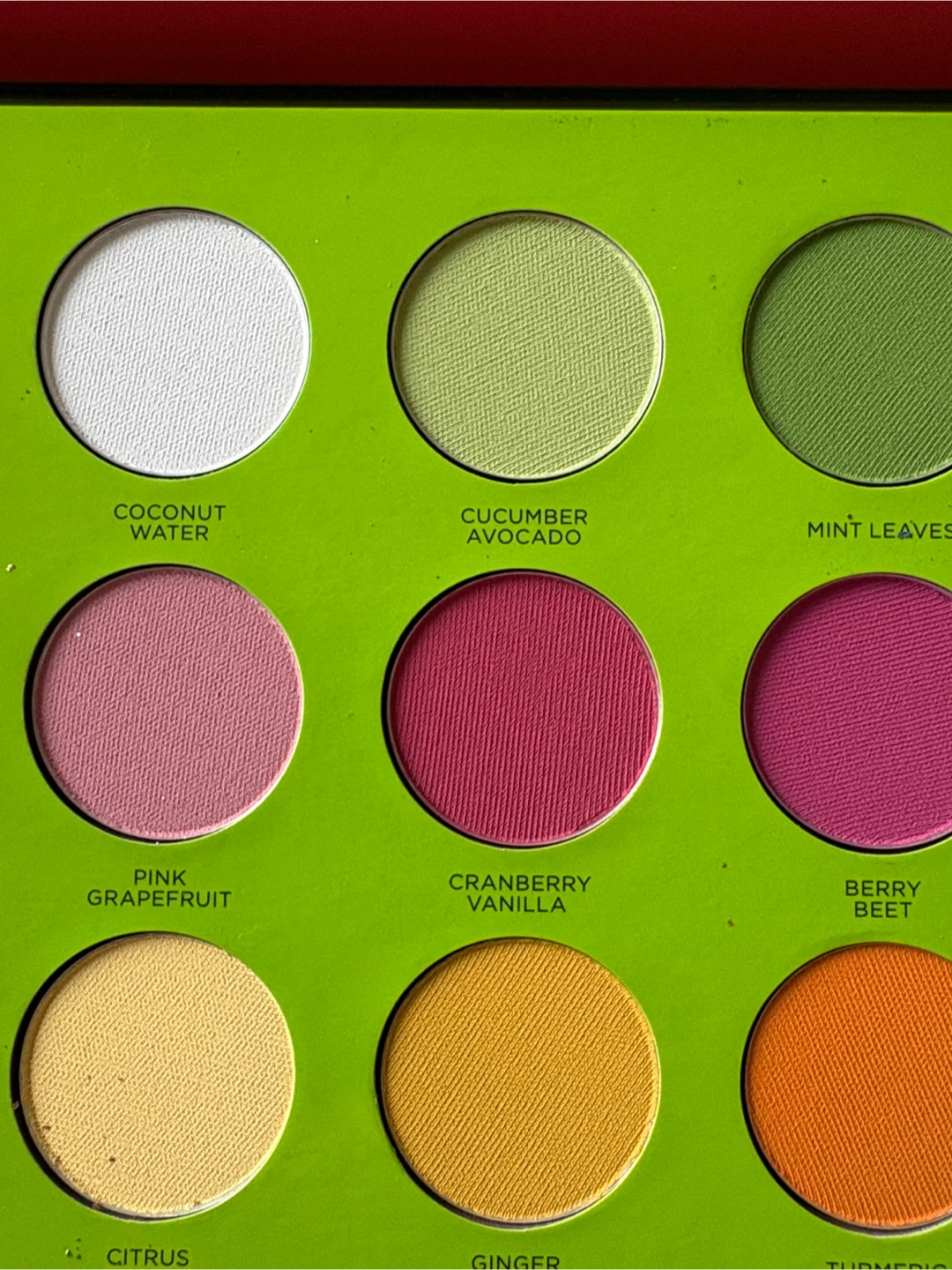 Coloured Raine Juicy Boost Eyeshadow Palette - photo 3