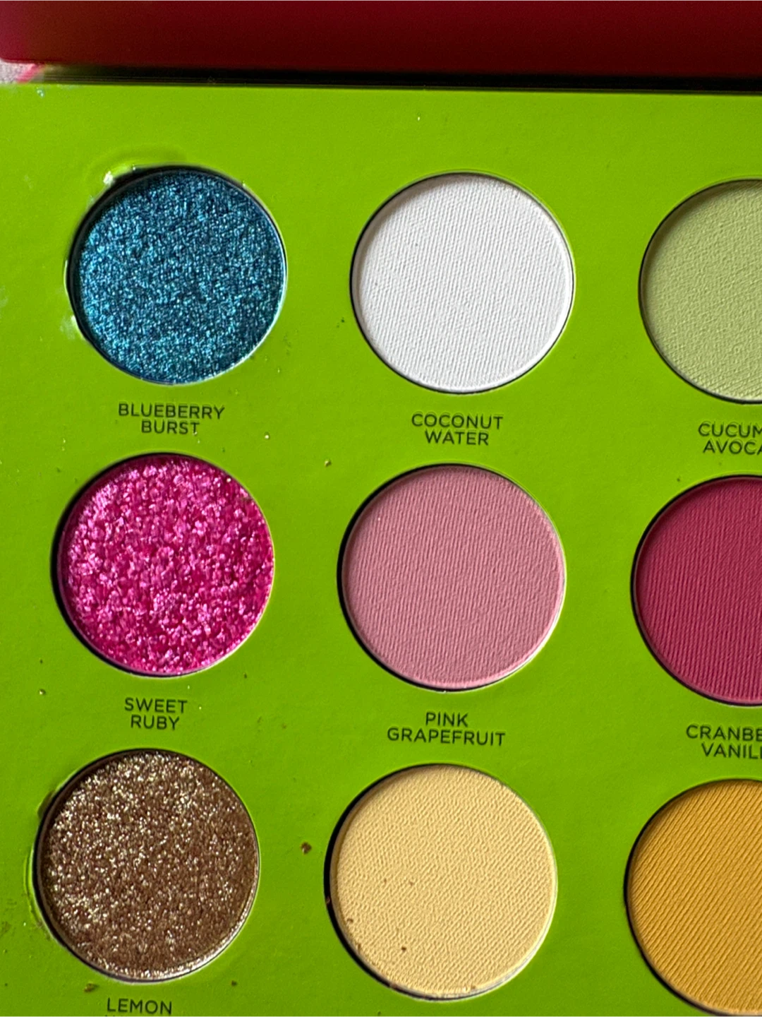 Coloured Raine Juicy Boost Eyeshadow Palette - photo 4