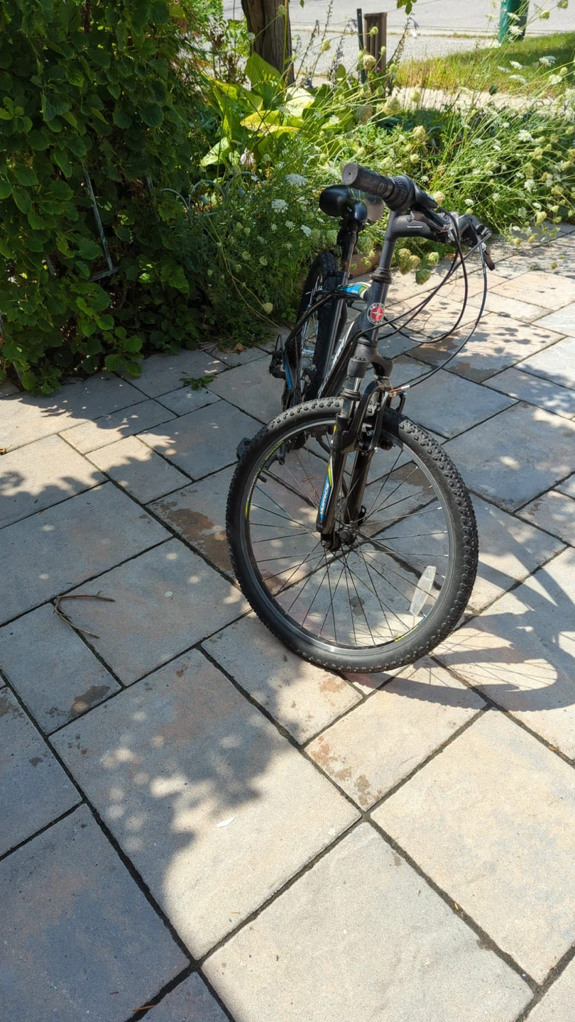Schwinn Mountain Bike