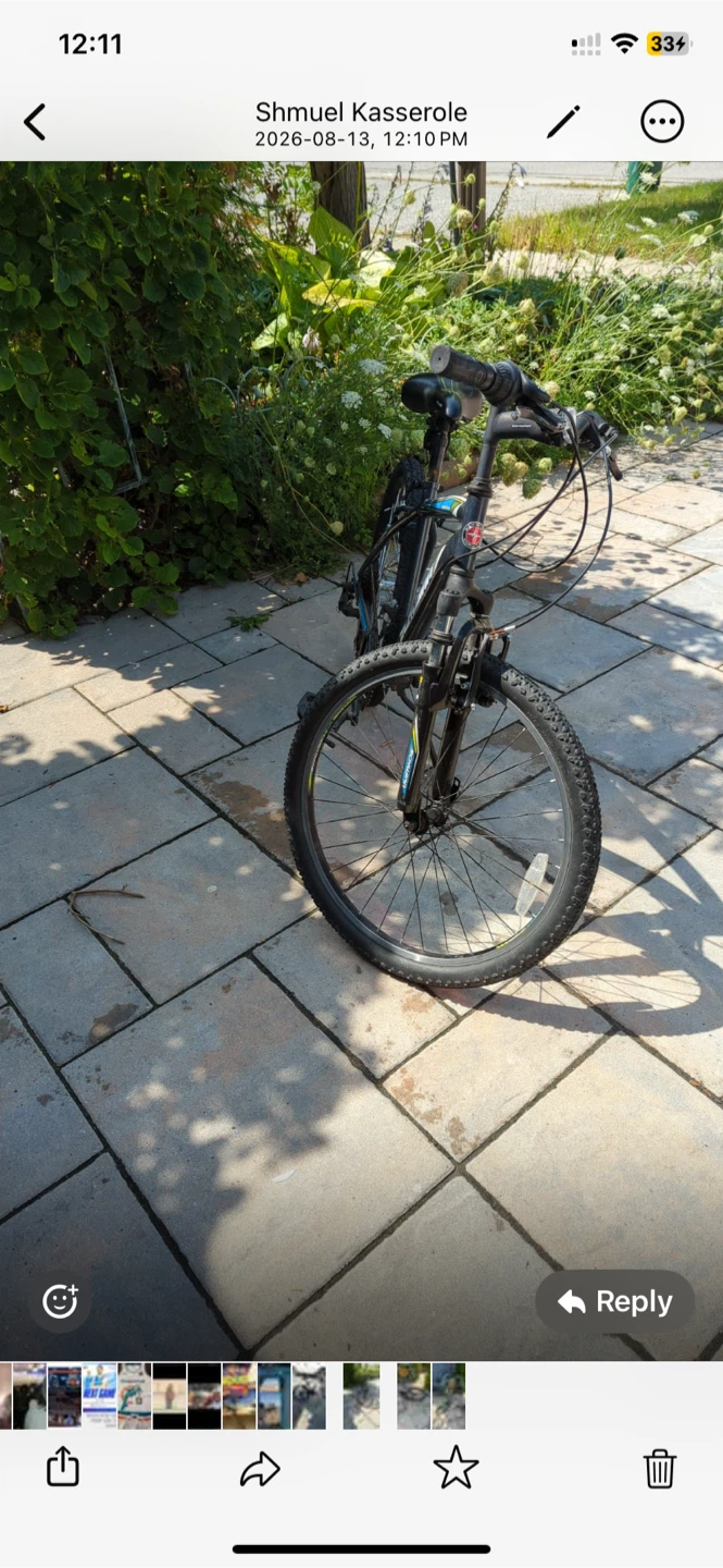 Schwinn Mountain Bike - photo 2