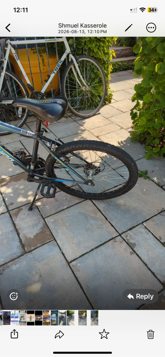 Schwinn Mountain Bike - photo 3