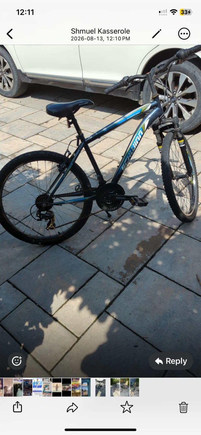 Schwinn Mountain Bike - photo 4