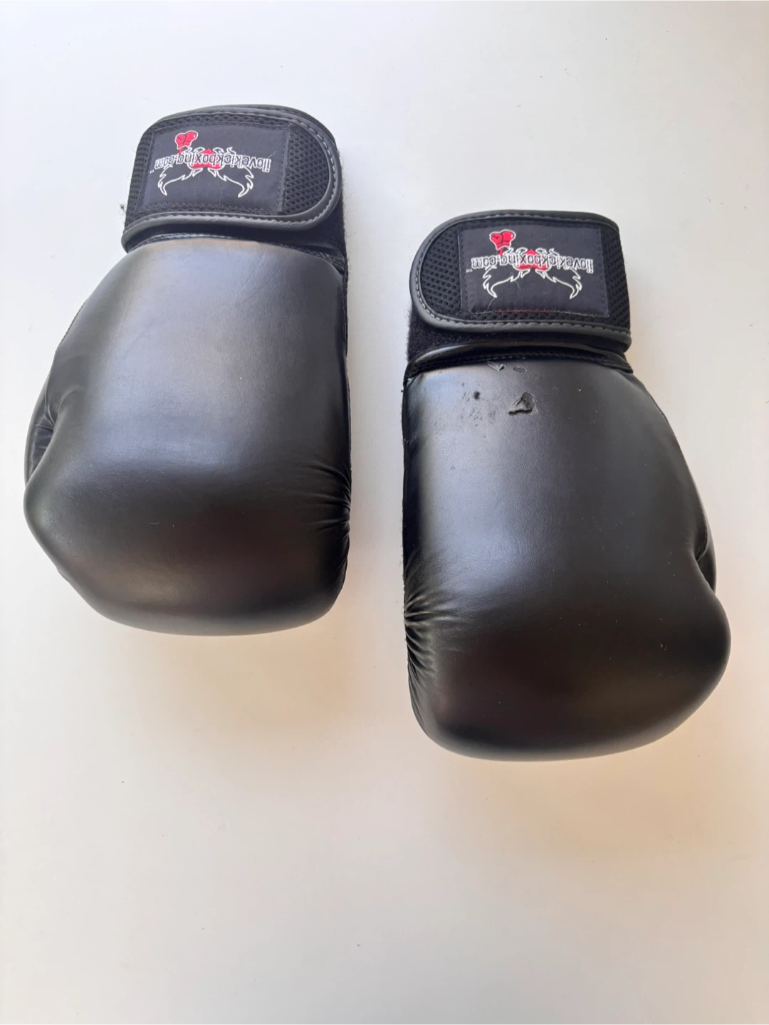 Century Boxing Gloves