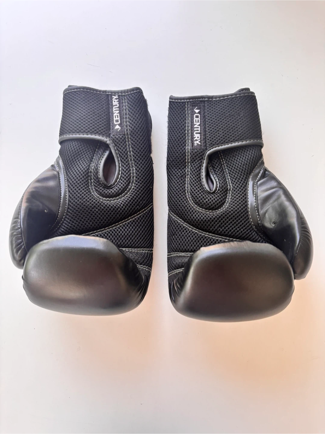 Century Boxing Gloves - photo 3