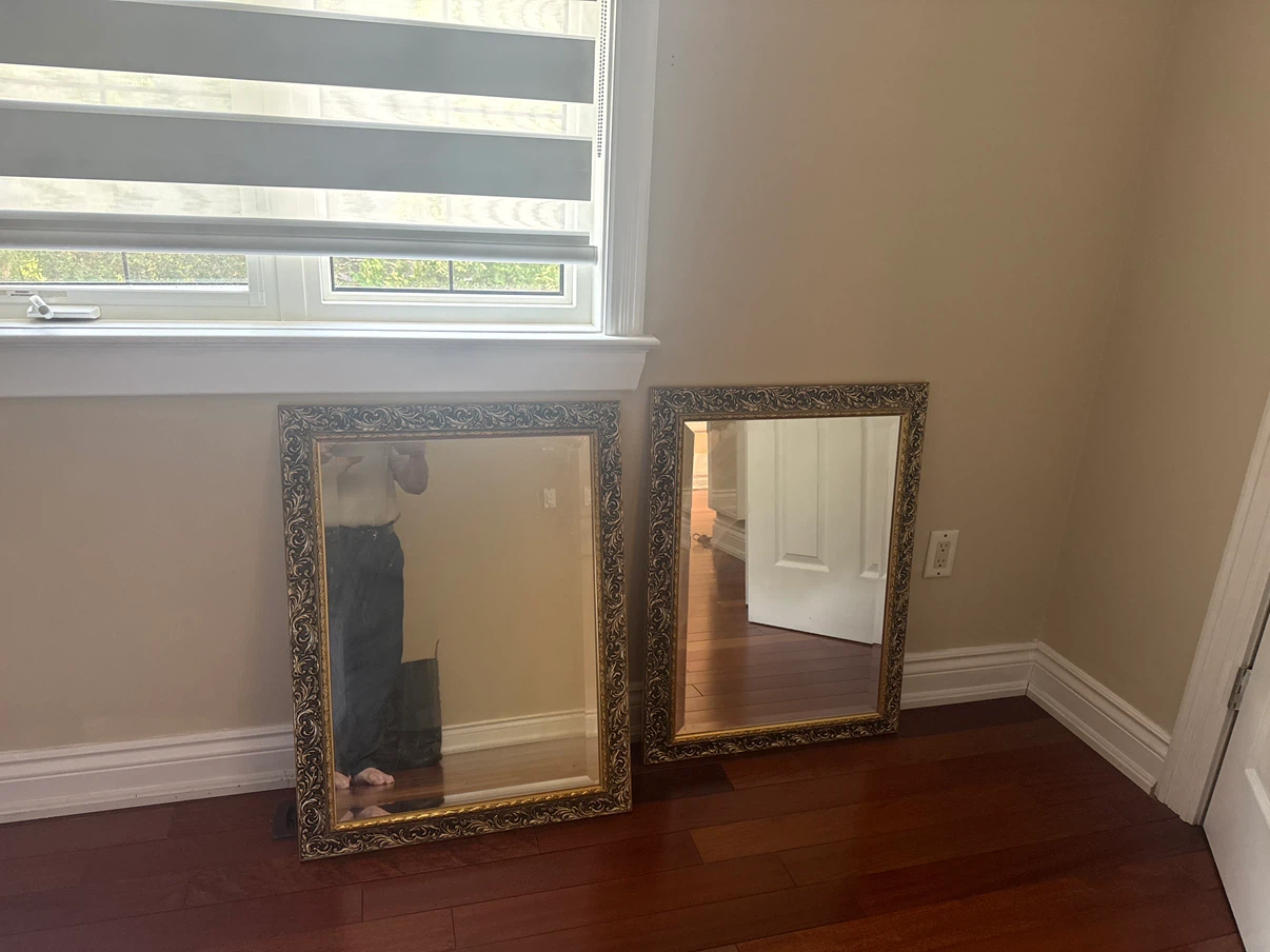 Decorative Gold Ornate Framed Mirrors (Set of 2)
