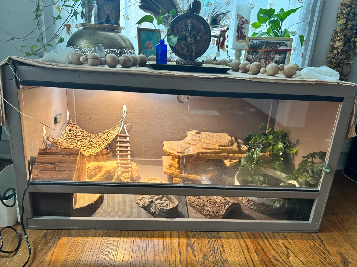 Terrarium Habitat for Reptiles