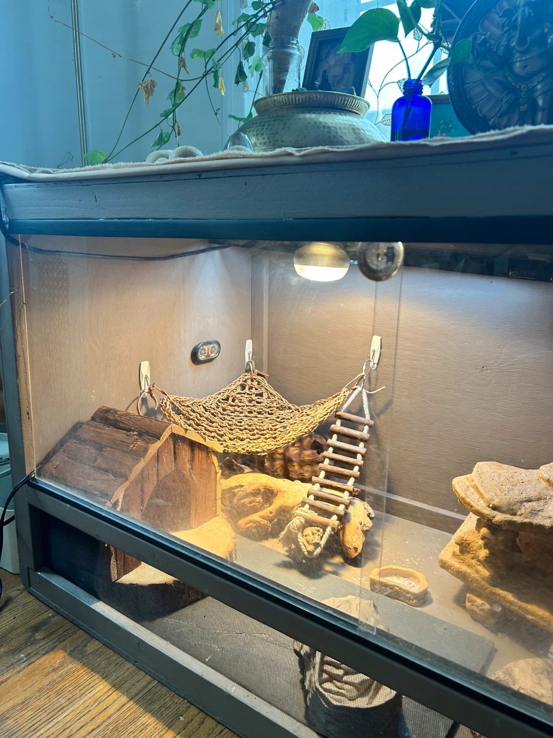 Terrarium Habitat for Reptiles - photo 2