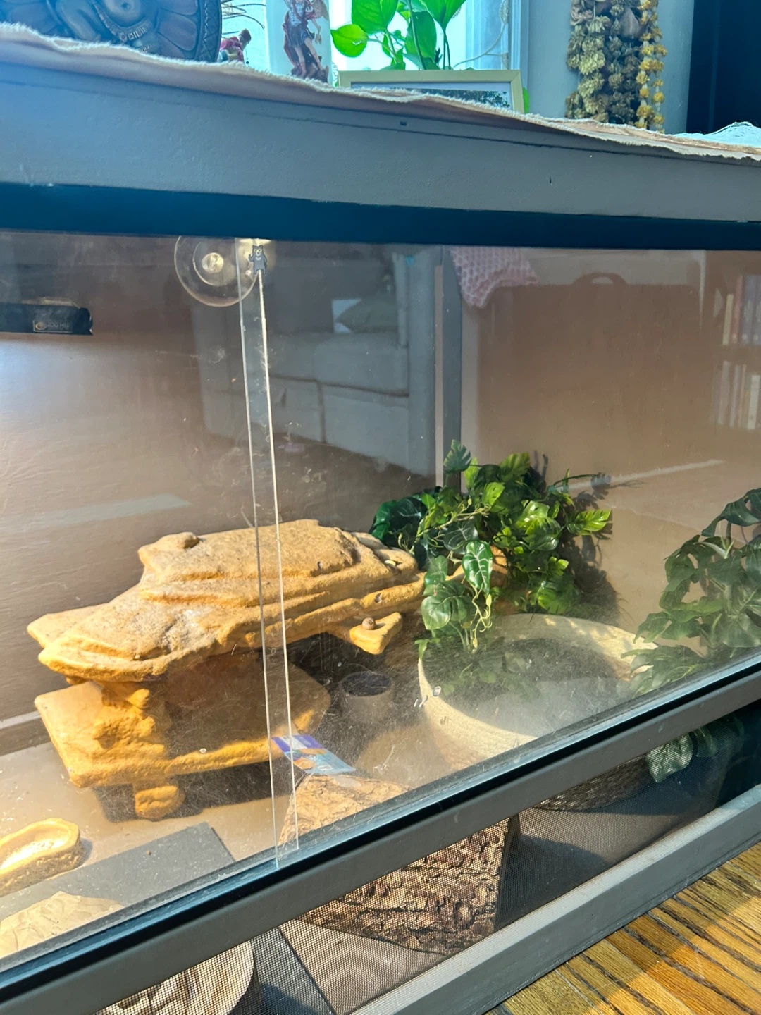 Terrarium Habitat for Reptiles - photo 3