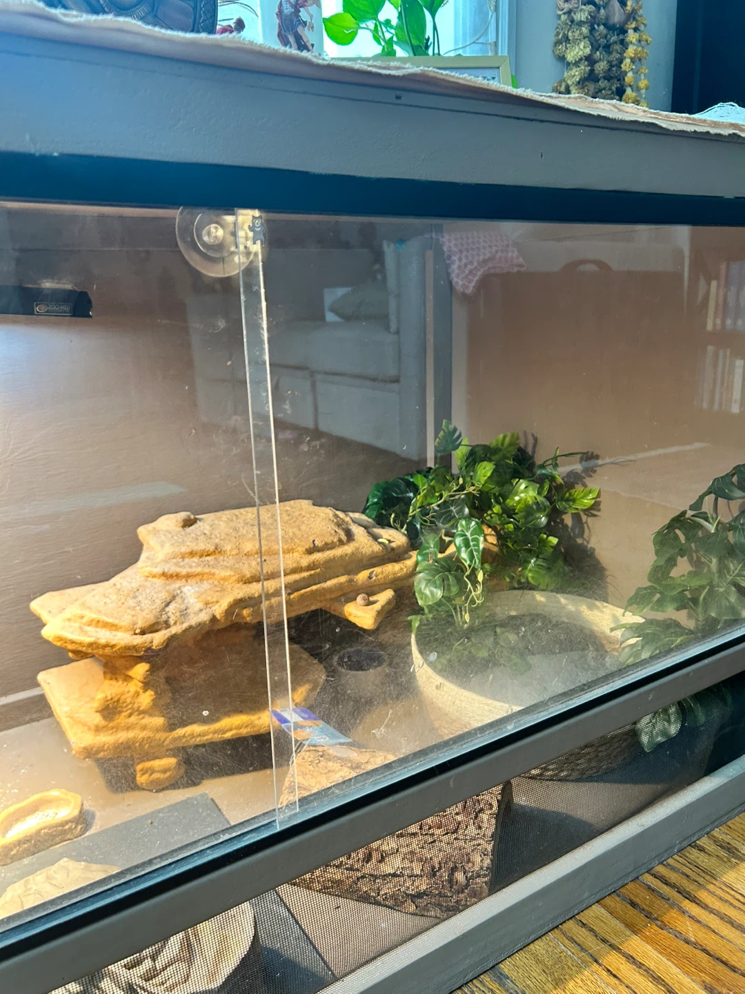 Terrarium Habitat for Reptiles - photo 4