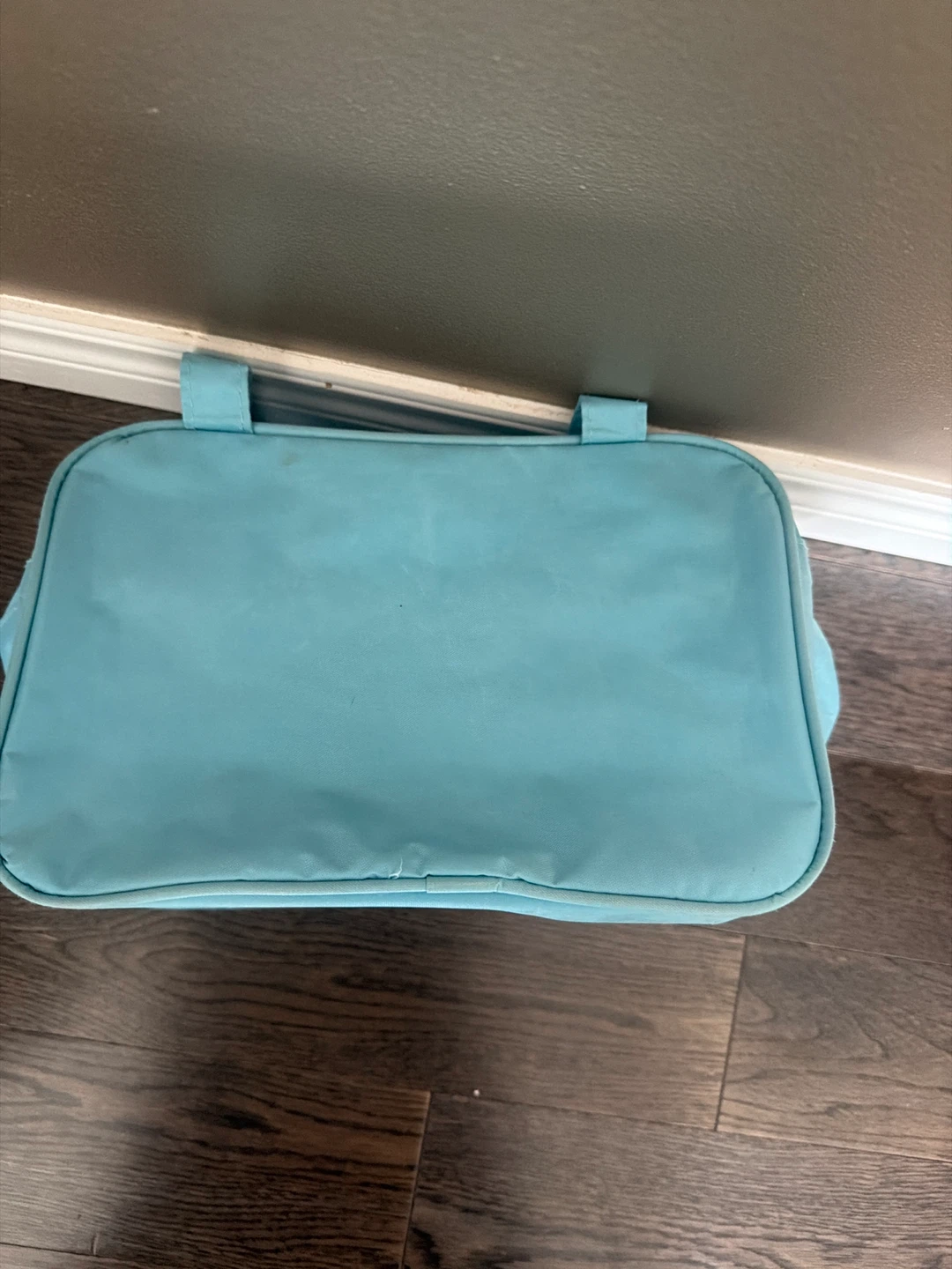 Cinnamoroll Insulated Lunch Bag - photo 3
