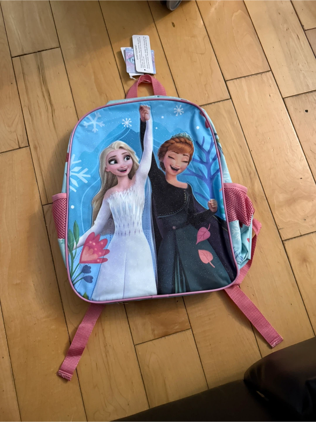 Disney Frozen Elsa & Anna Backpack