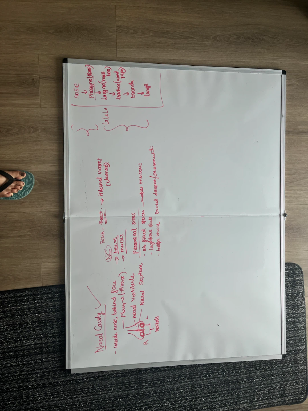 Foldable Whiteboard – 35” x 46” – Hangable
