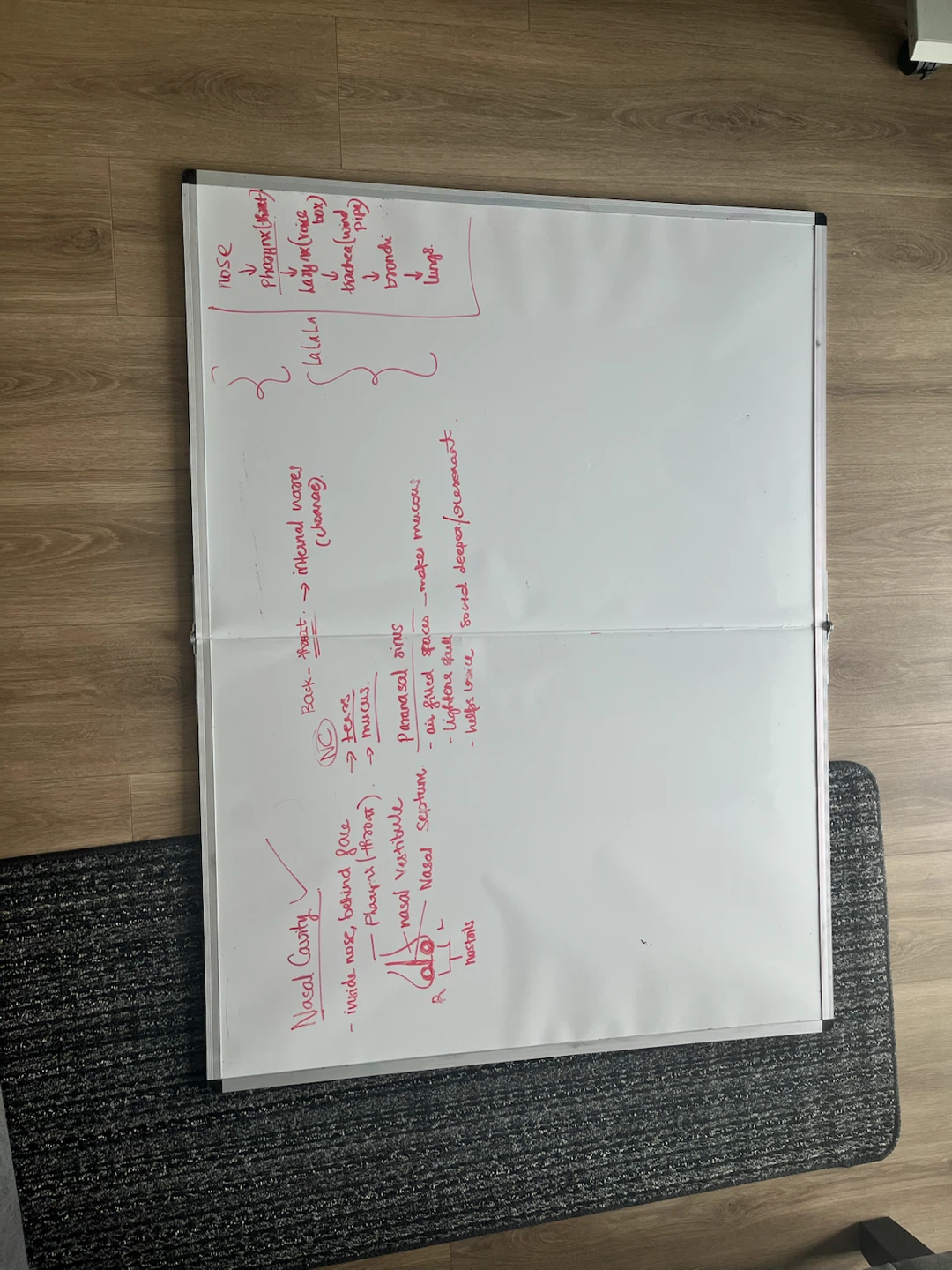 Foldable Whiteboard – 35” x 46” – Hangable - photo 2