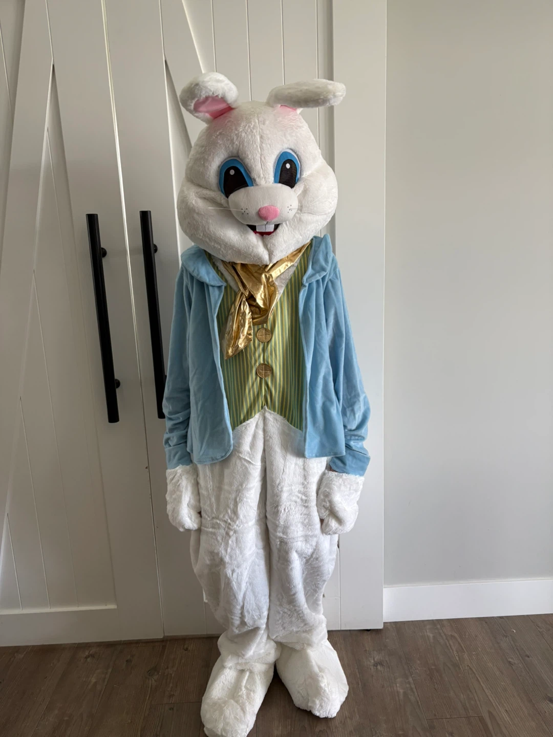 Adult’s Easter Bunny Costume Mascot Suit brand new
