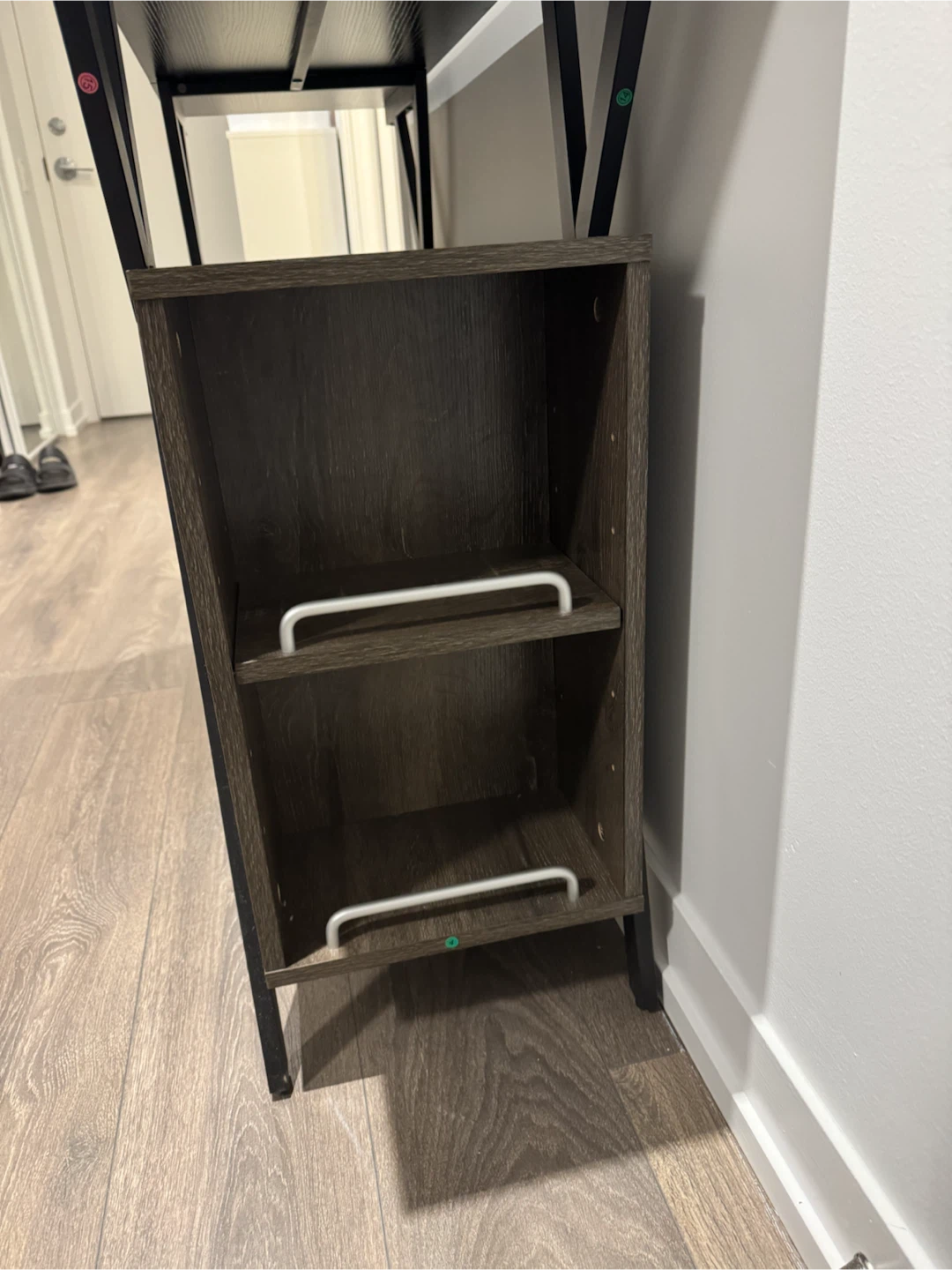 Dark Wood Cabinet with Shelving and Two Doors - photo 3