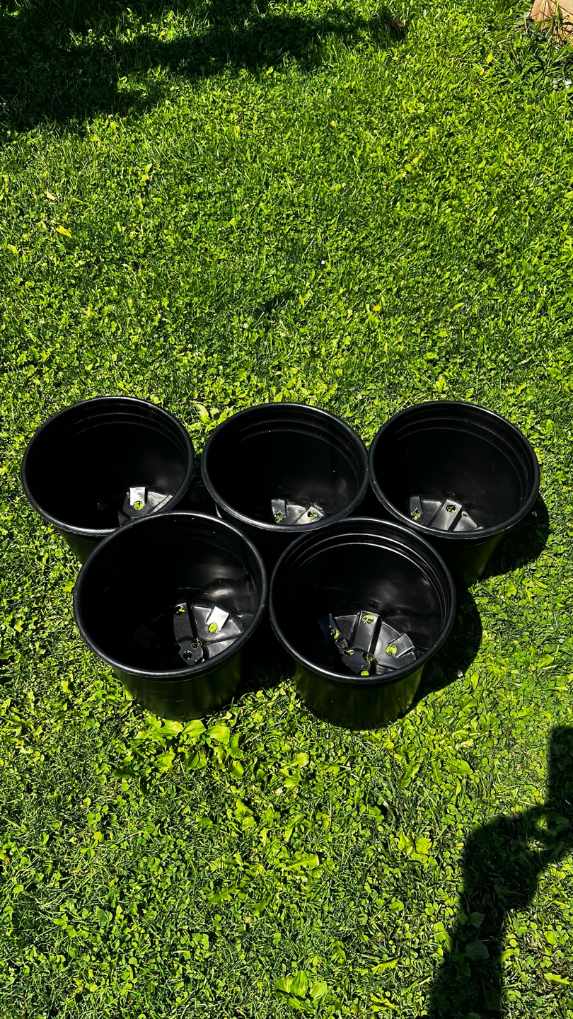 Set of 5 Black Plastic Plant Pots