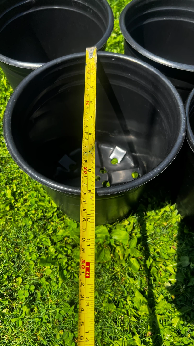Set of 5 Black Plastic Plant Pots - photo 2