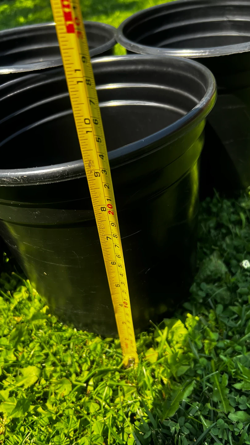 Set of 5 Black Plastic Plant Pots - photo 3