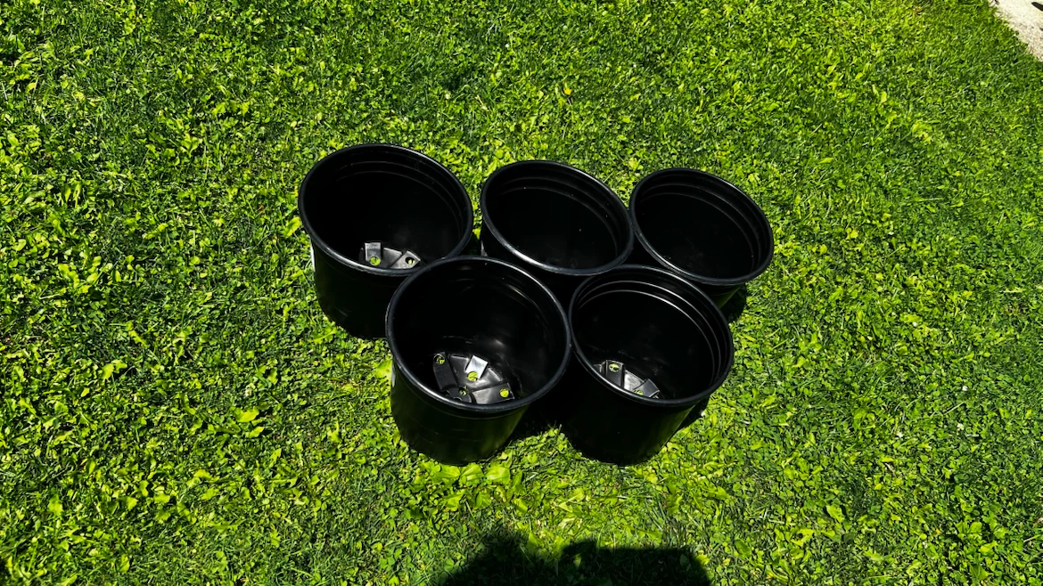 Set of 5 Black Plastic Plant Pots - photo 4