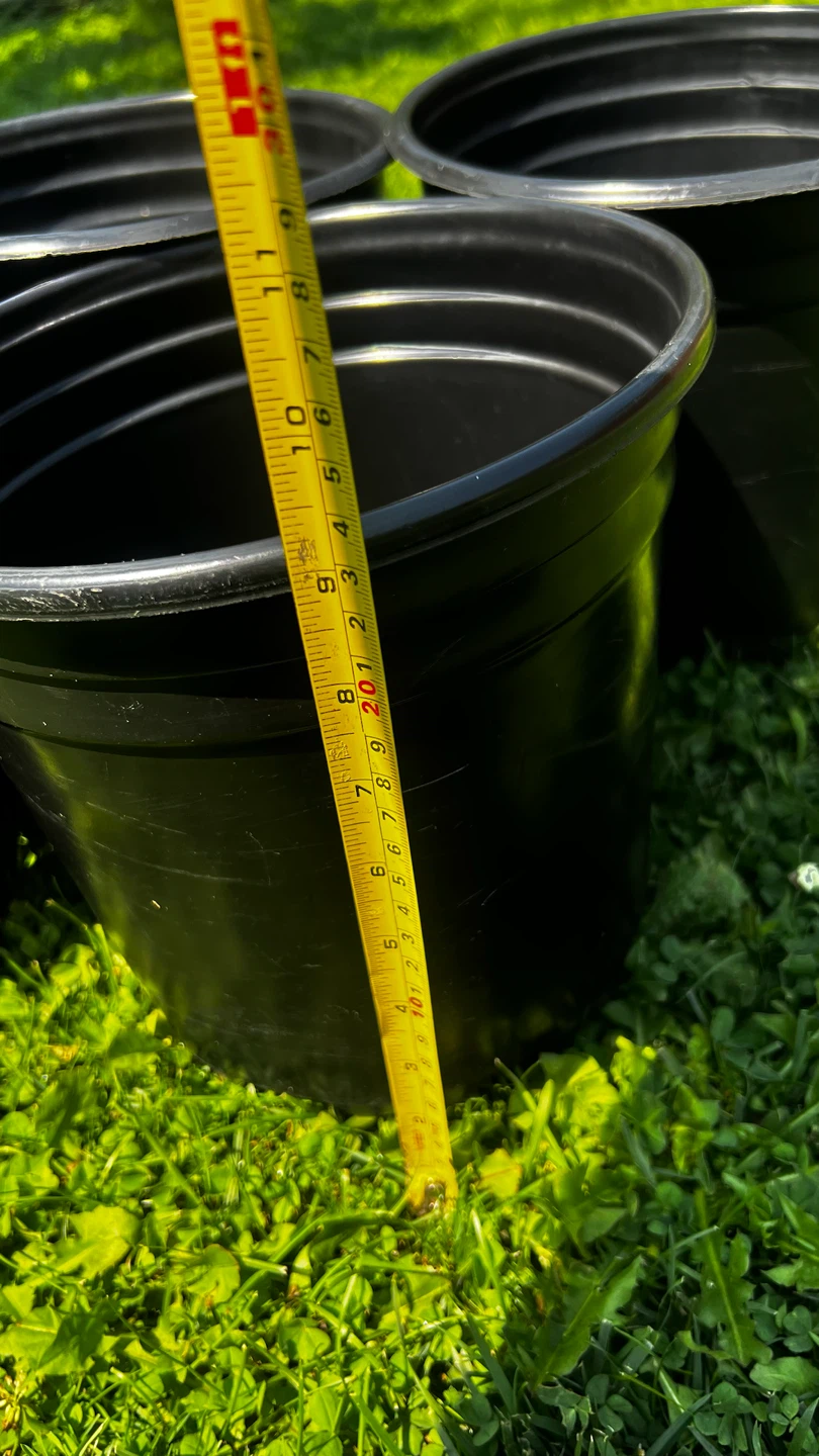 Set of 5 Black Plastic Plant Pots - photo 5