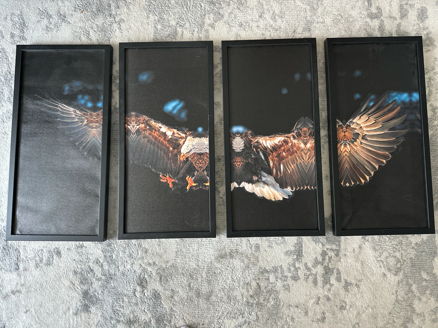 Set of 4 Framed Eagle Wing Art Prints