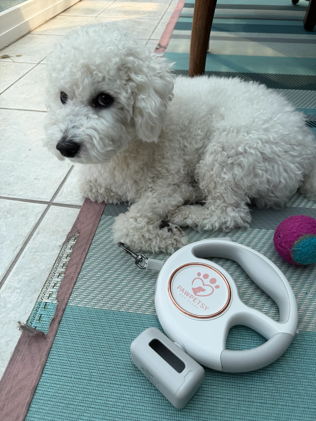Retractable Dog Leash with Waste Bag Dispenser - photo 2