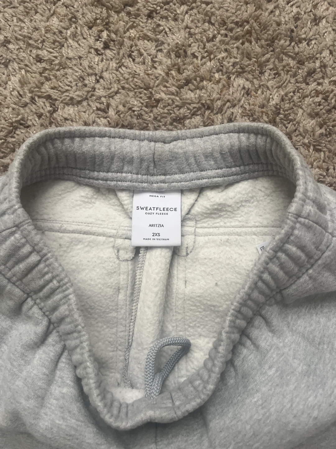 Aritzia Cozy Sweatfleece Mega Cargo Sweatpants - photo 3