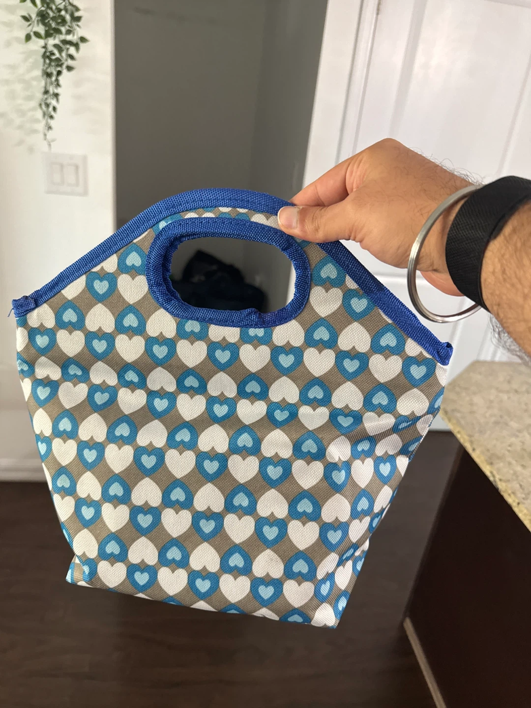 Insulated Lunch Bag