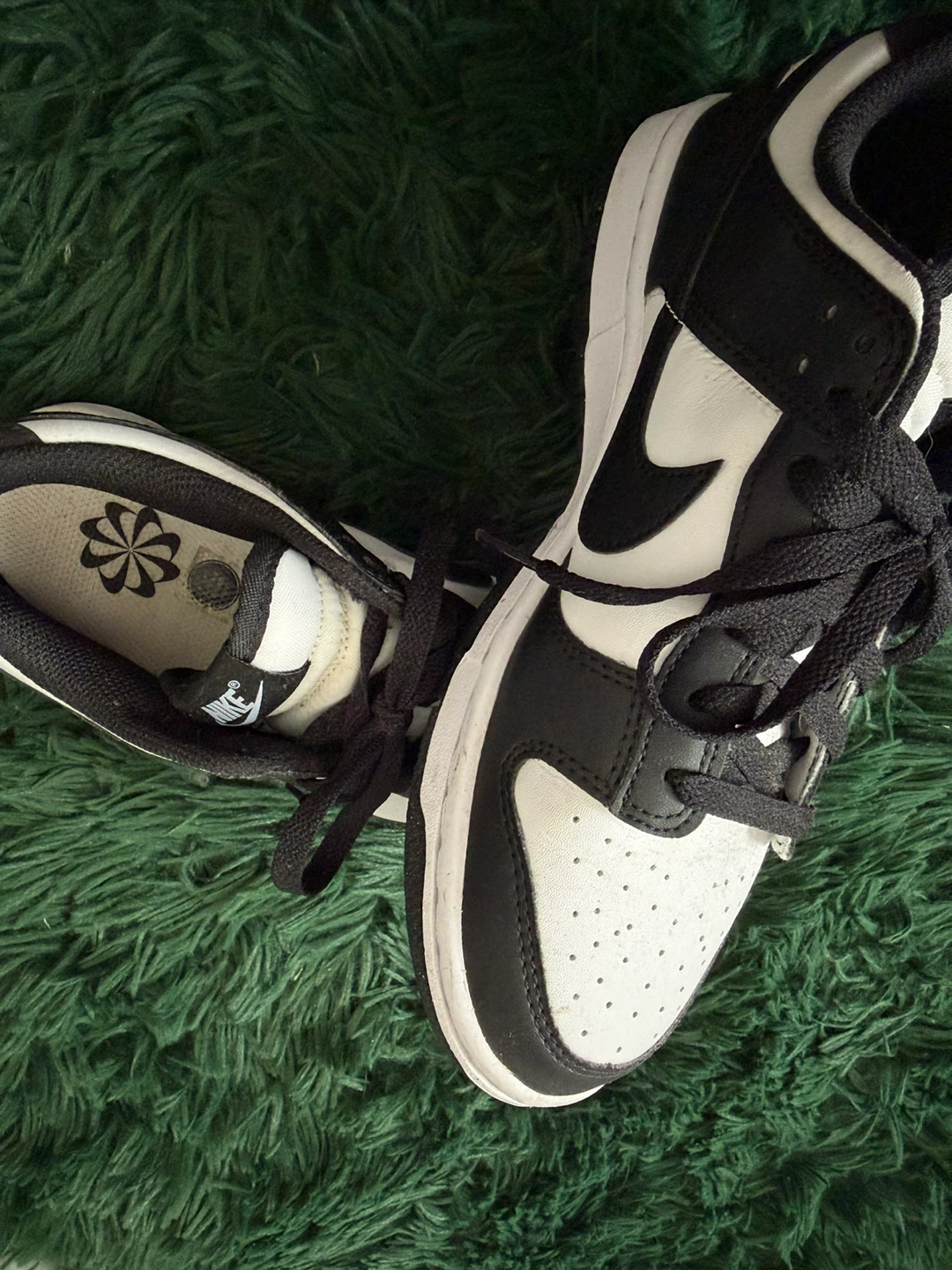 Nike Dunk Low Men's Shoes