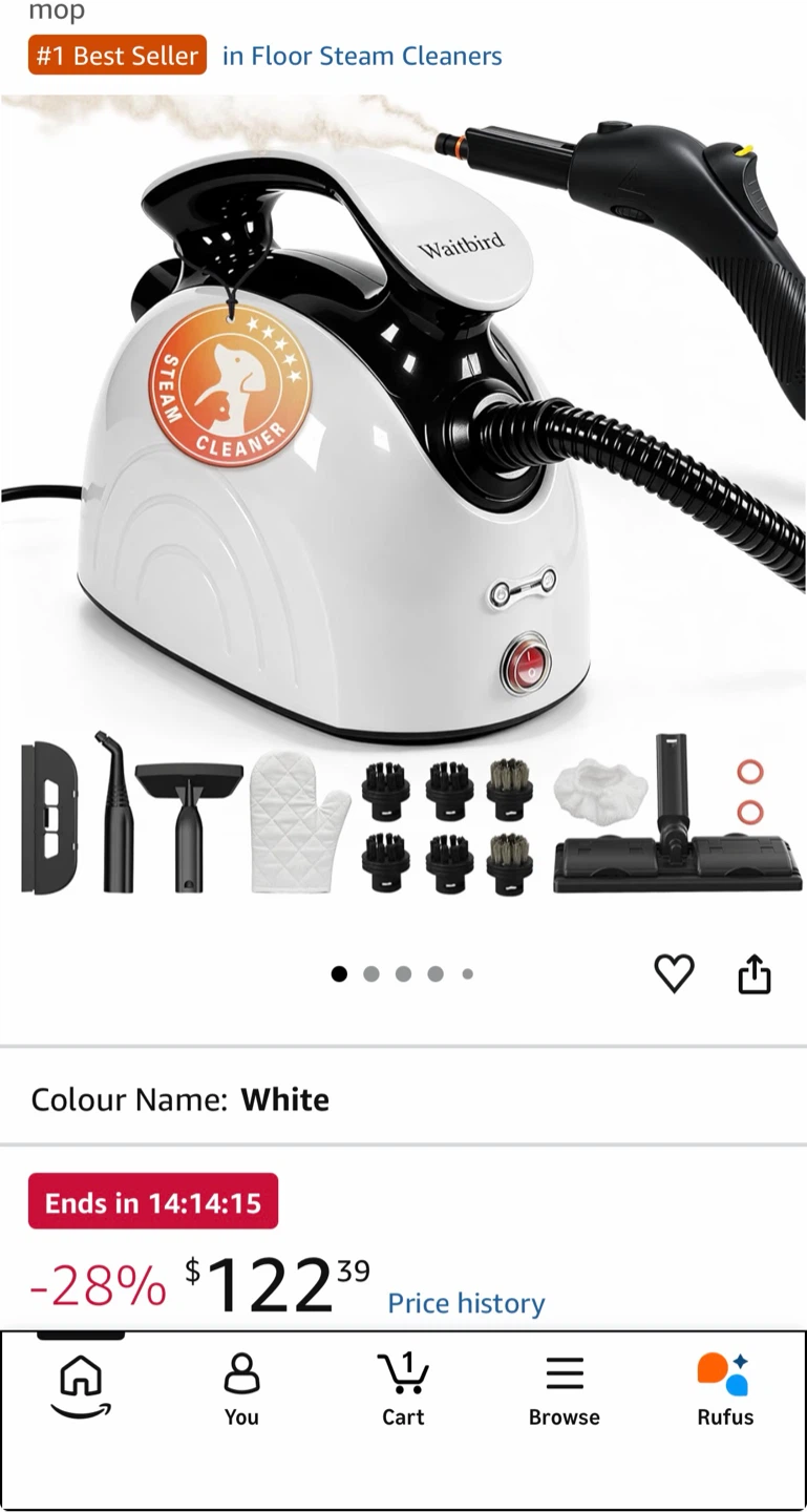 Waitbird White Steam Cleaner with Accessories