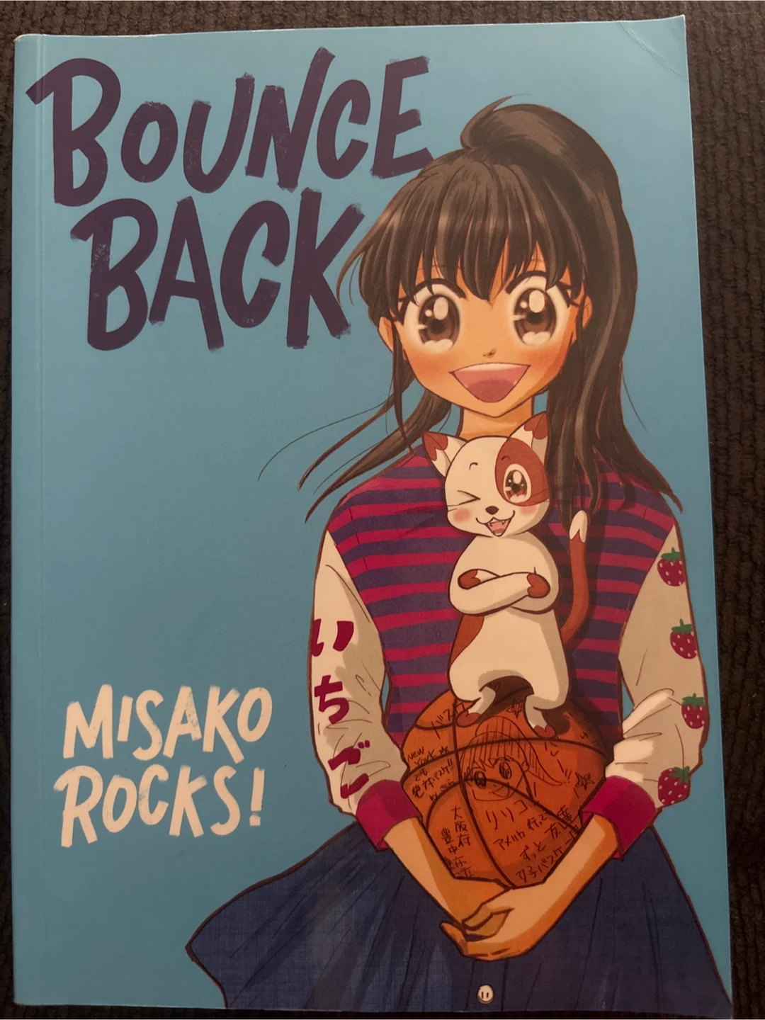Bounce Back by Misako Rocks! Manga Book