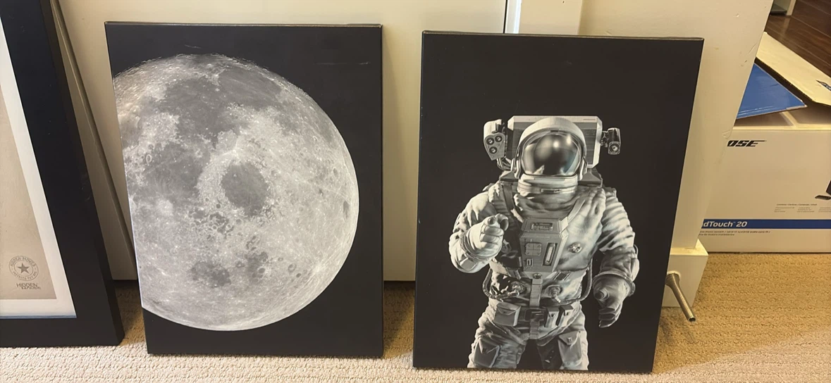 Canvas Prints: Astronaut, Moon, and Lion Art