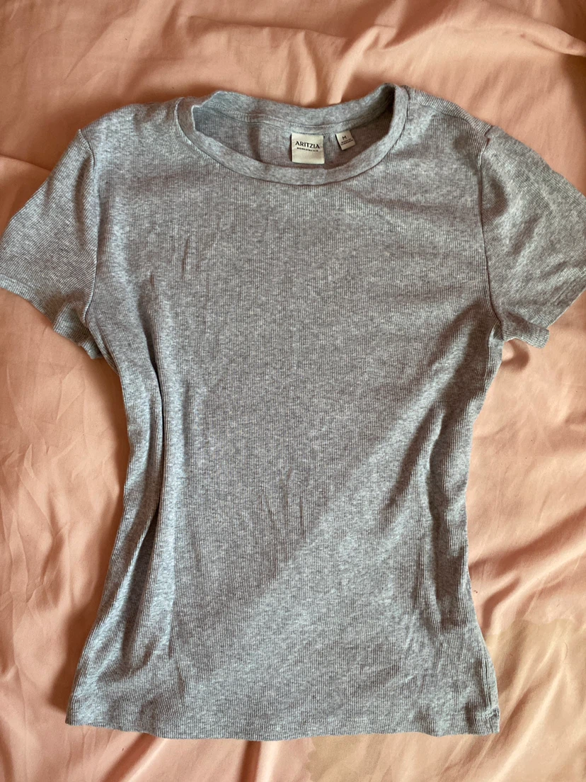 Aritzia Grey Ribbed T-Shirt
