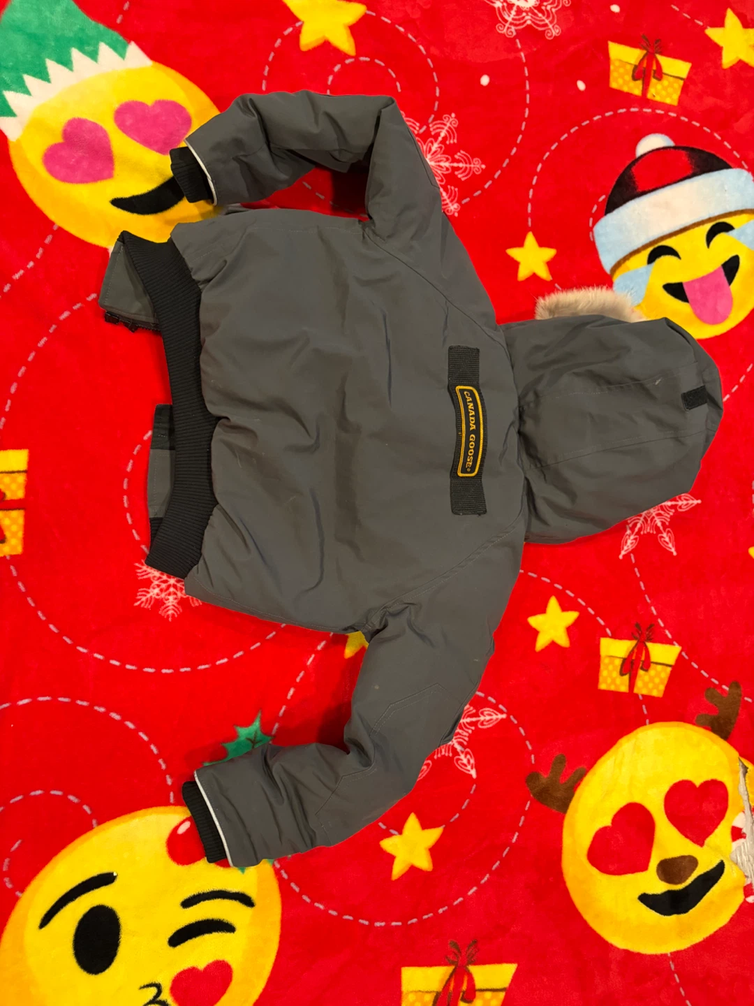 Canada Goose Arctic Program Puffer Jacket - photo 2