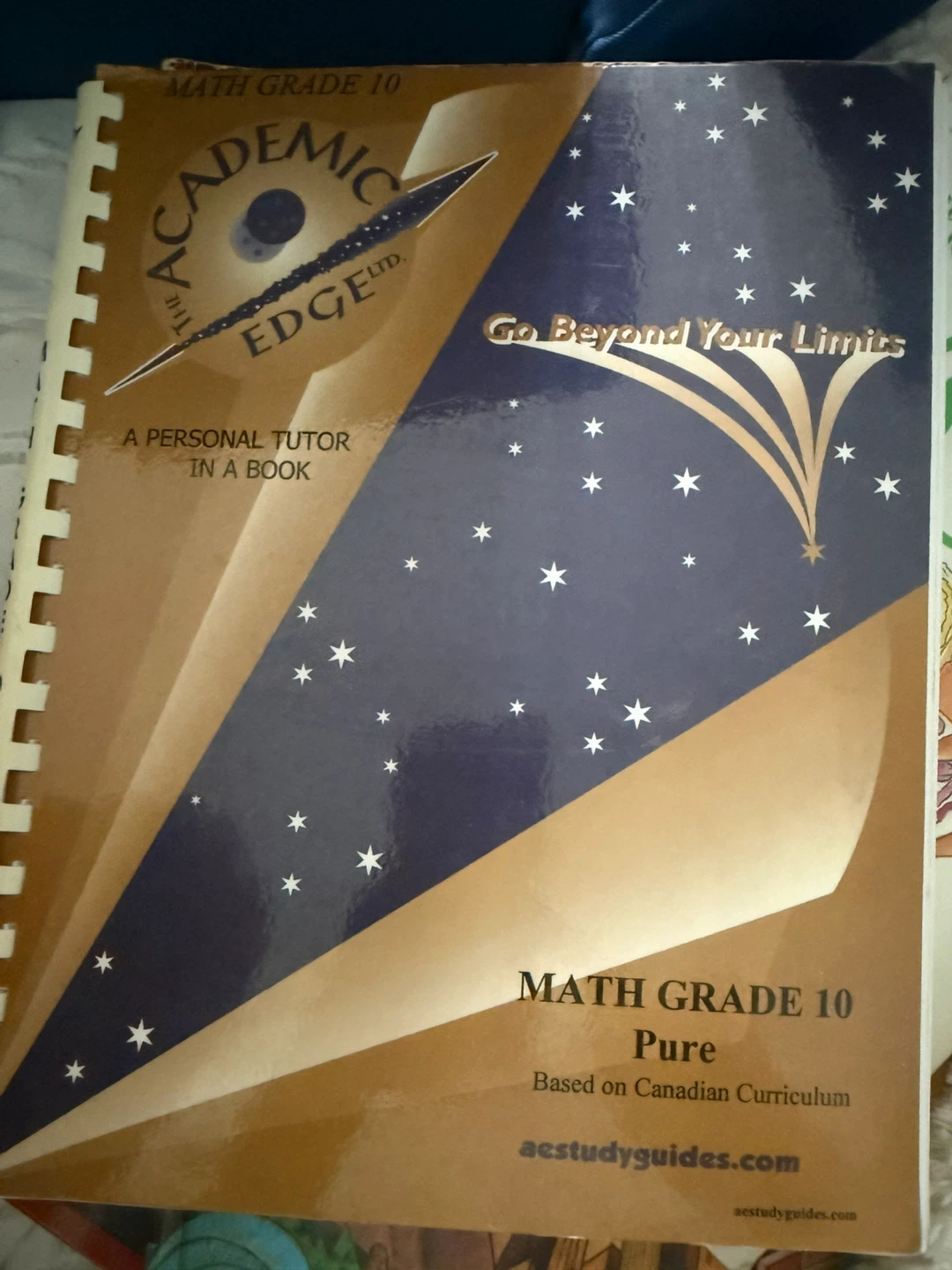 Math Grade 10 Pure Study Guide