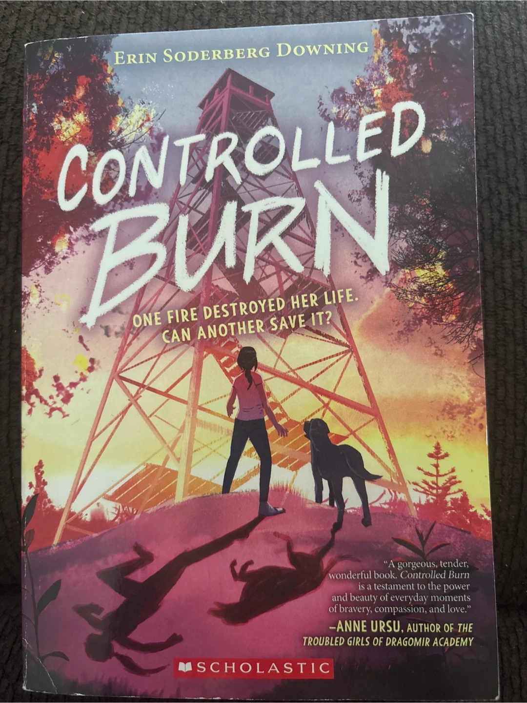 Controlled Burn by Erin Soderberg Downing Book