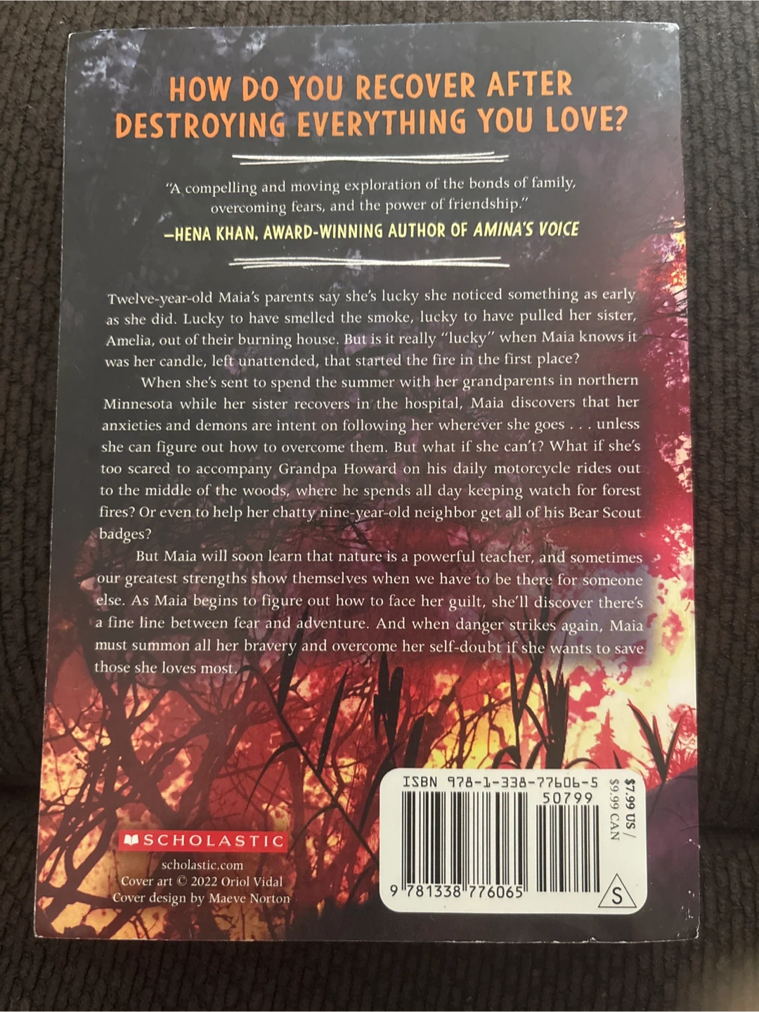 Controlled Burn by Erin Soderberg Downing Book - photo 2