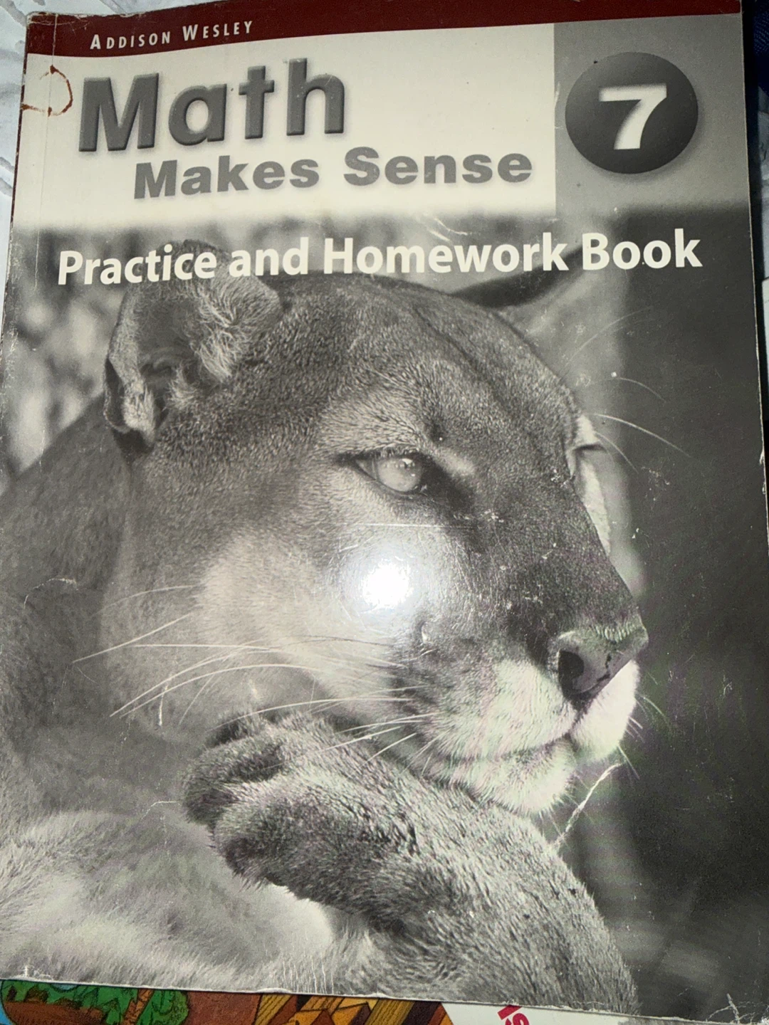 Math Makes Sense Grade 7 Practice and Homework Book