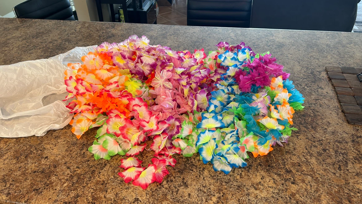 Party Supplies Bundle - Leis, Banners, Clamps