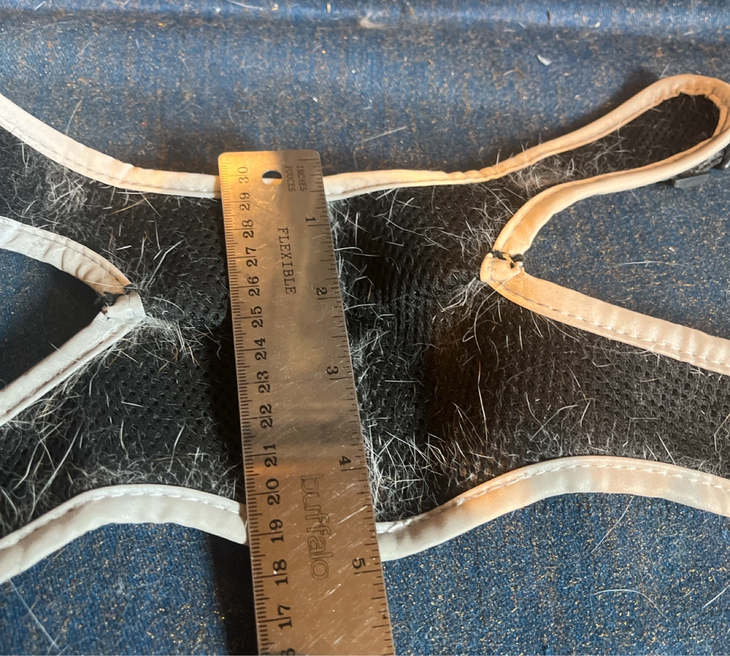Small Cat Harness - Black with Stars Pattern - photo 3