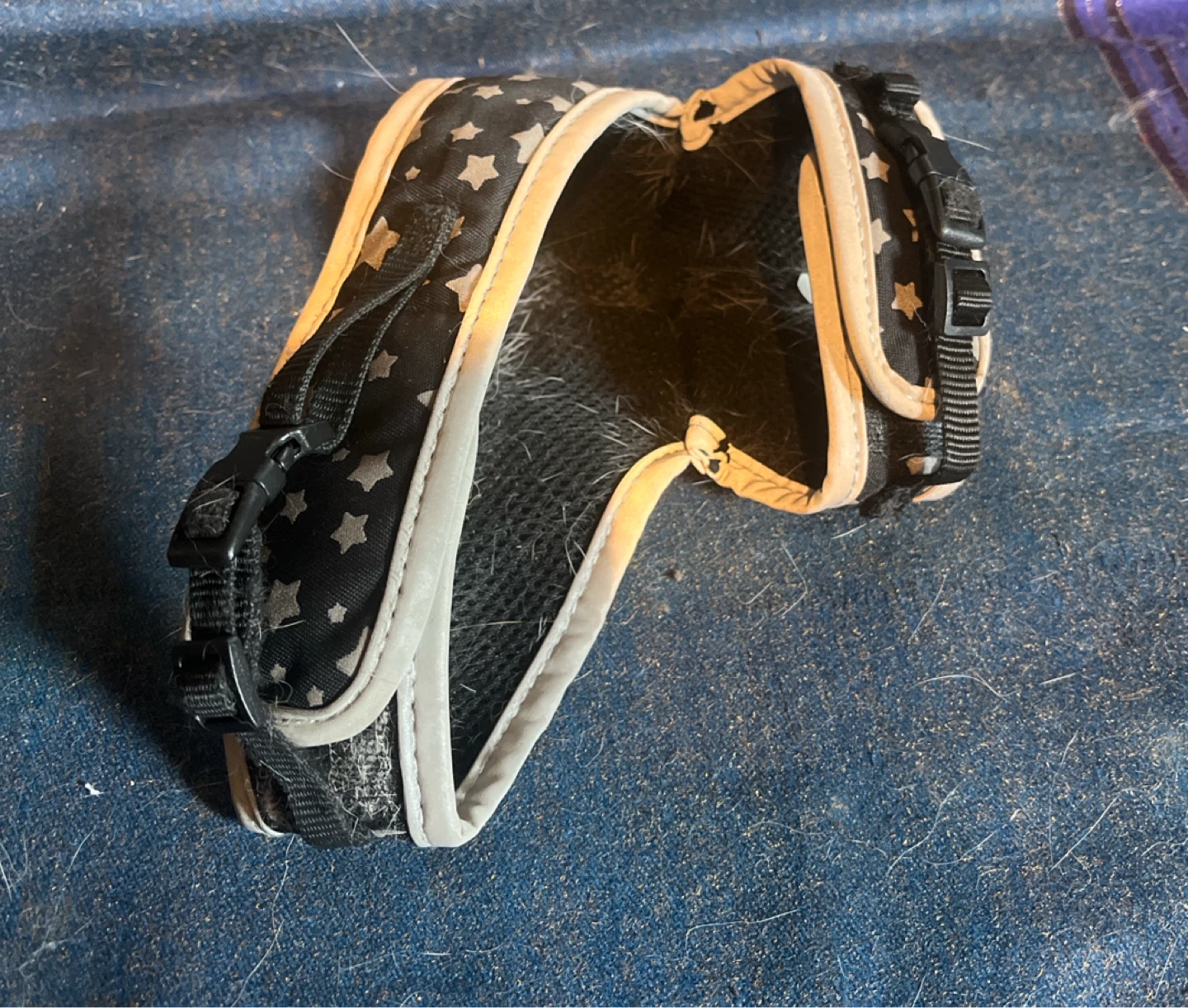 Small Cat Harness - Black with Stars Pattern - photo 4
