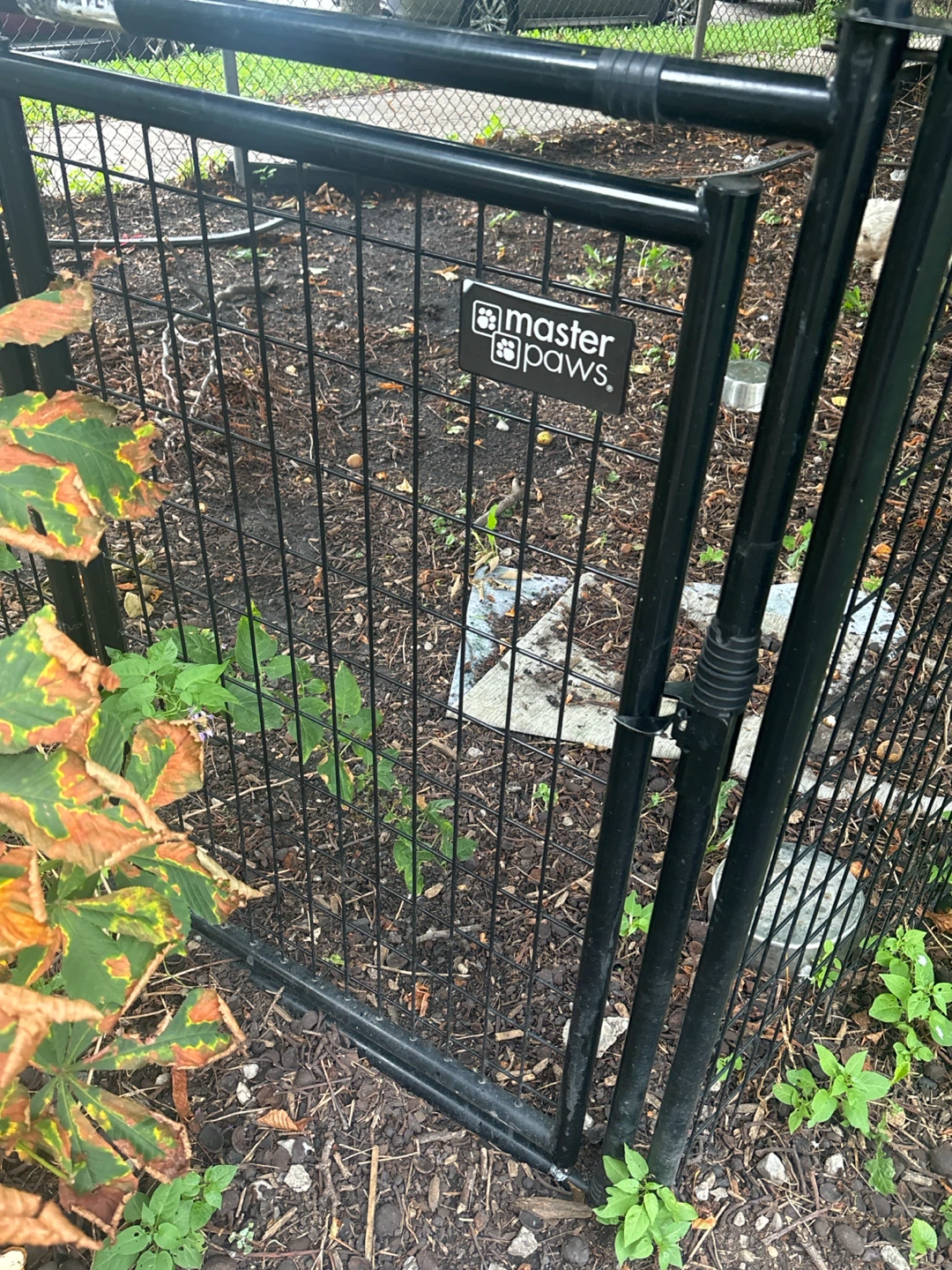Master paws dog playpen . Used