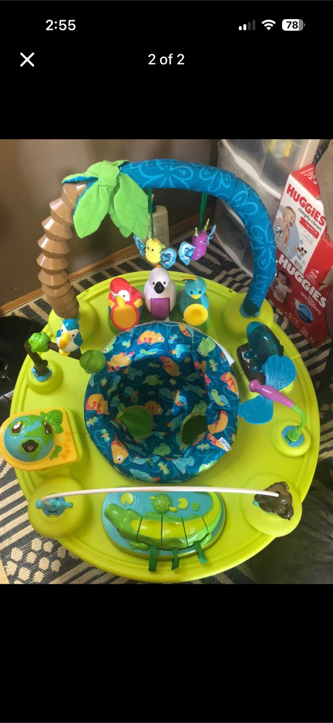 Baby Einstein Jumperoo - photo 2