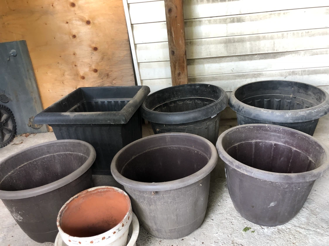 Assorted Garden Pots