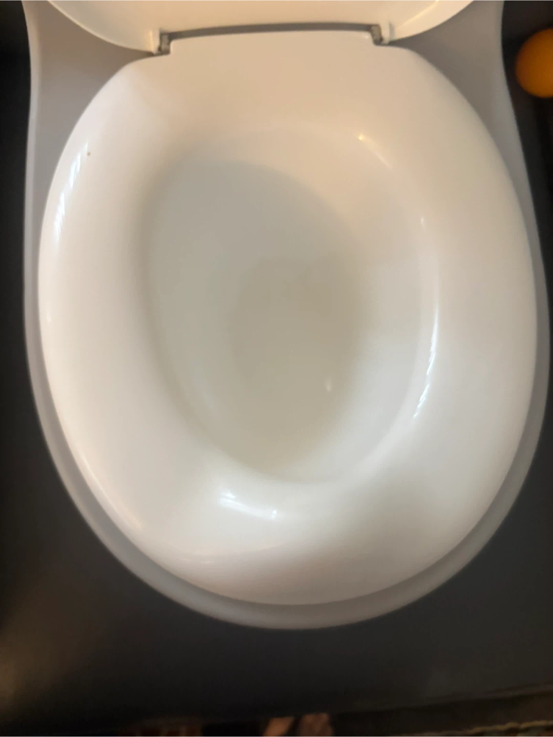Nuby Potty Training Toilet Seat - photo 4